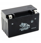 Batterie moto 12V 11Ah Gel / AGM YTZ12S / GTZ12S  LTZ12-S