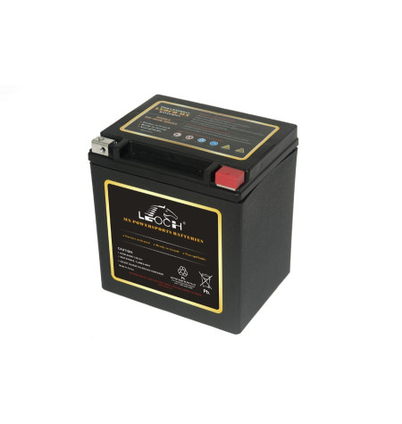 Batterie Harley AGM Leoch 12V/30Ah MX30-3 / ETX30L